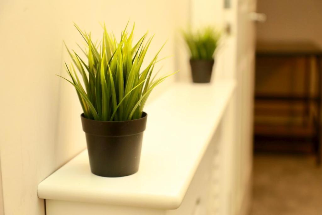 Lovely 2- Bedroom Apartment In Belfast Ngoại thất bức ảnh