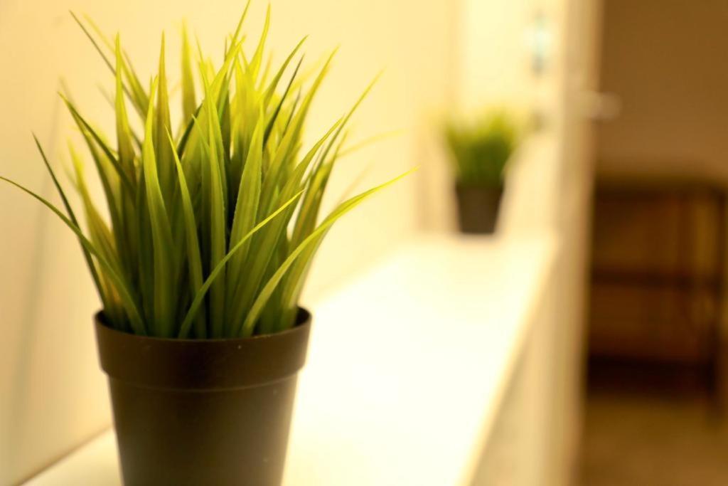 Lovely 2- Bedroom Apartment In Belfast Ngoại thất bức ảnh